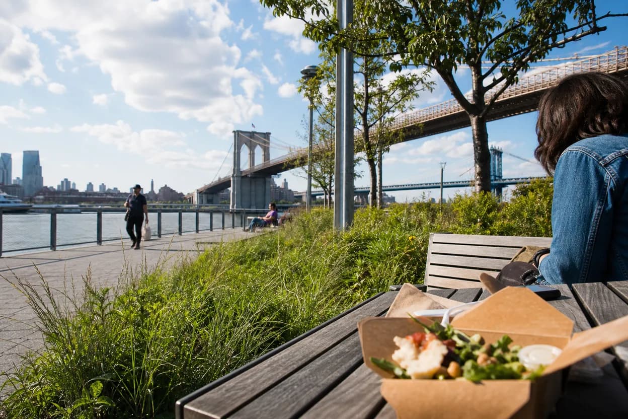 Editorial detail for Brooklyn Bridge Park Pier 3 Lawns: A Shaded Picnic Plan After Work