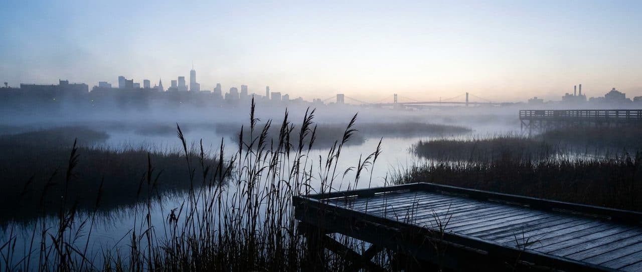 Brooklyn's Largest Park on a Saturday Morning at the Saltmarsh - scene