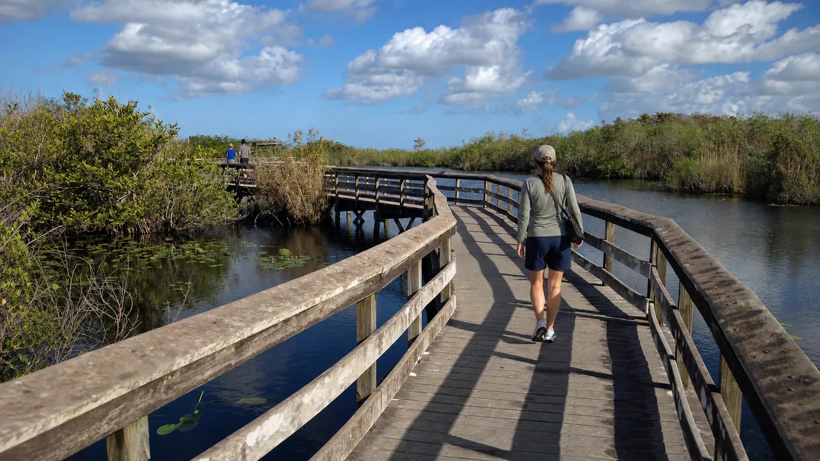 Visitors walk on an Everglades boardwalk above wetlands in daylight.