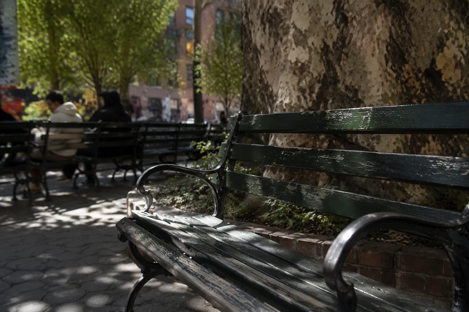 Park bench under a tree in Columbus Park, Chinatown, with dappled afternoon light