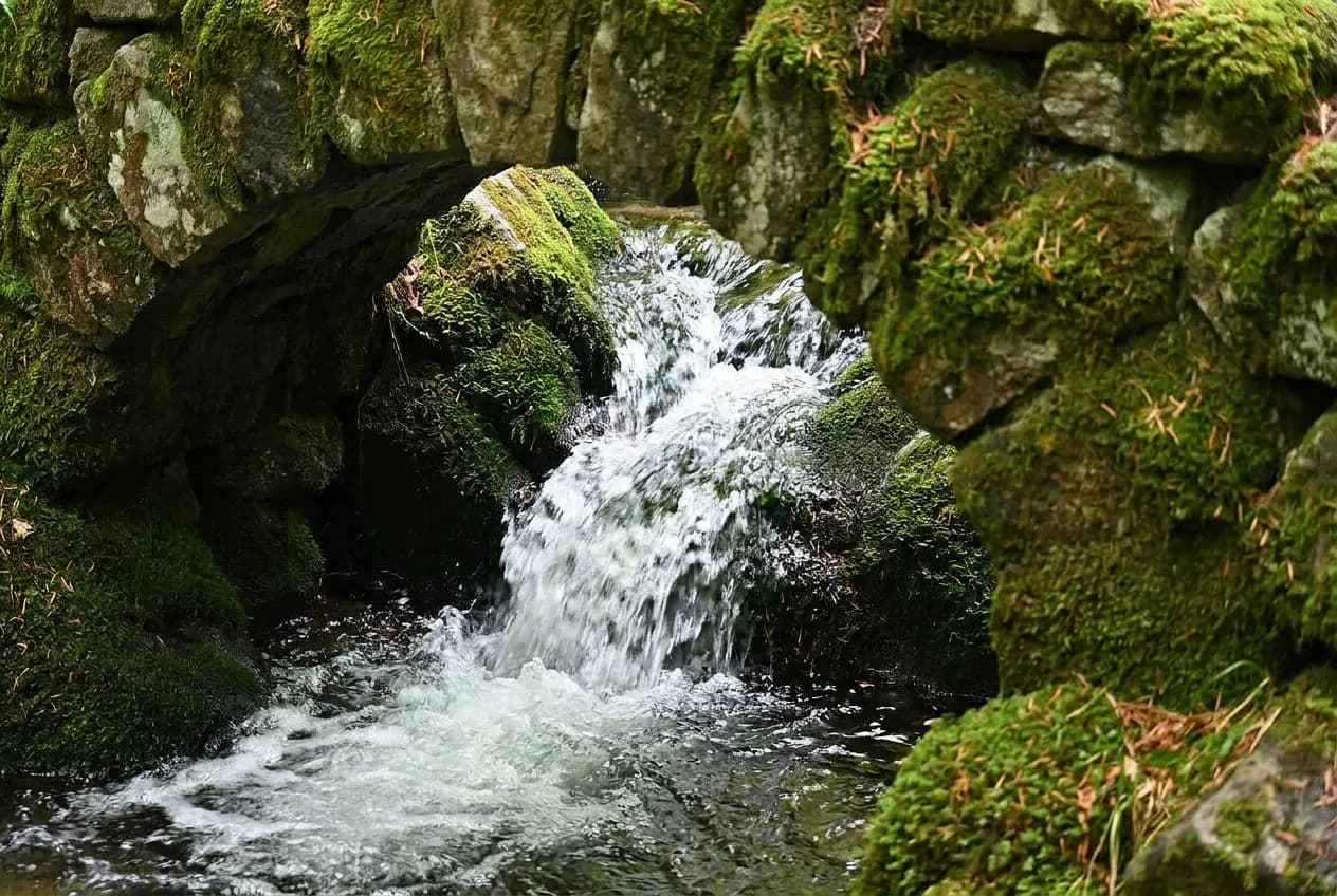 Central Park North Woods Ravine and Huddlestone Arch Cascade