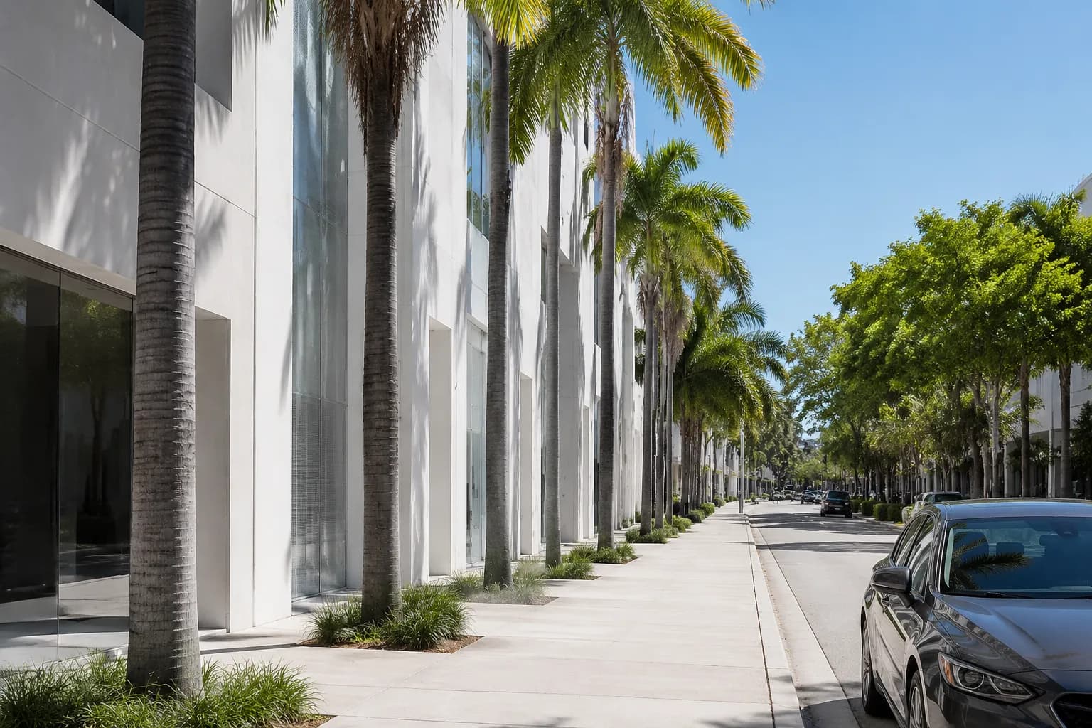 North Miami Avenue in the Design District with modern architecture and palm-lined sidewalk