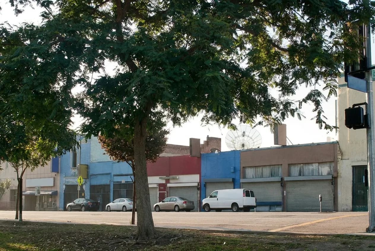 A quiet Los Angeles side street in morning light with a low storefront and parked cars
