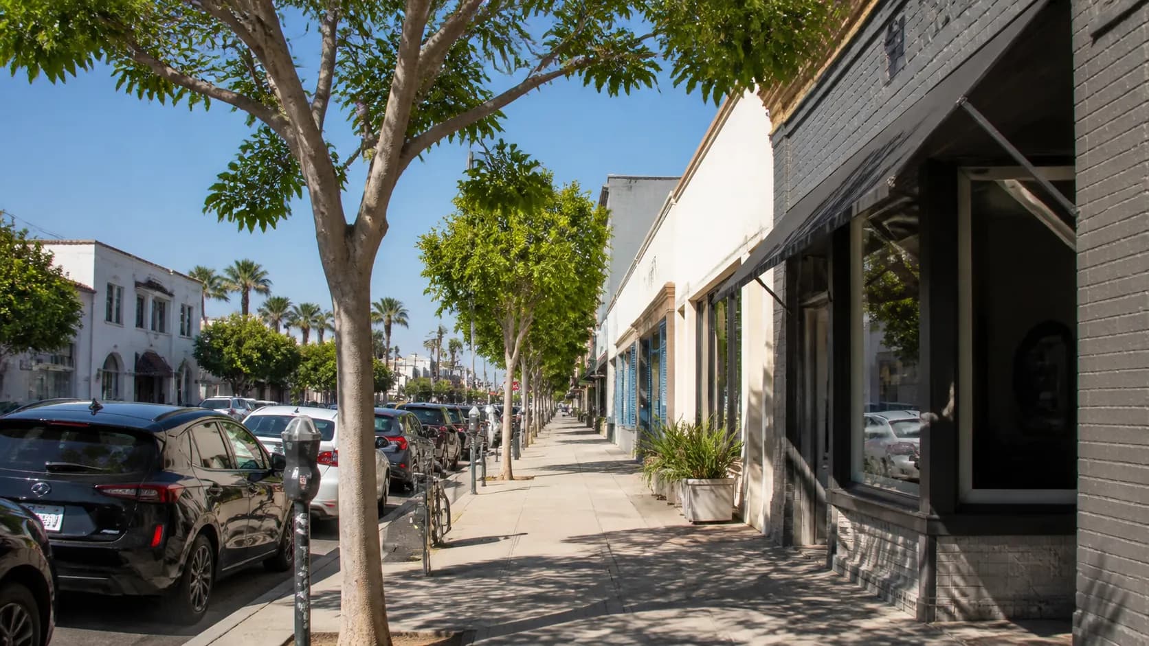Abbot Kinney Boulevard in Venice, Los Angeles on a sunny summer afternoon with shops and street parking