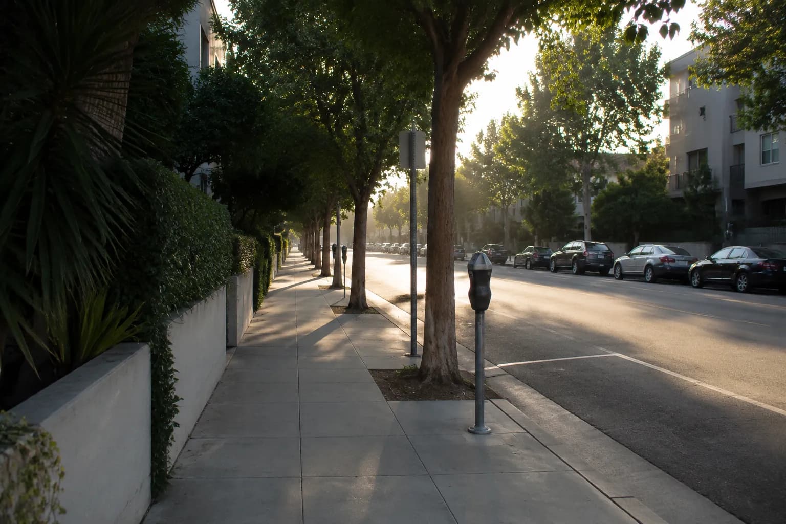 Metered street parking on a tree-lined Westwood Boulevard side street in late afternoon