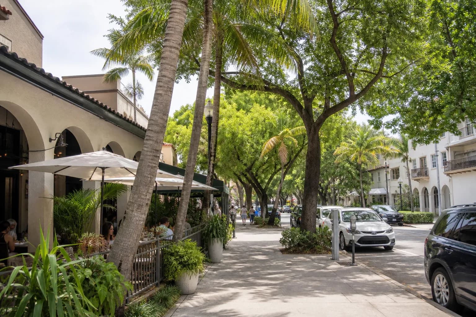 Shaded Coconut Grove sidewalk cafe with tropical trees near the bay