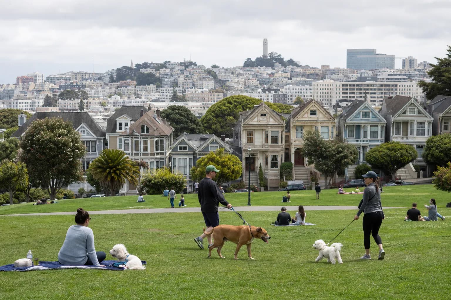 A grassy neighborhood park in SF with tree shade and apartment buildings beyond.