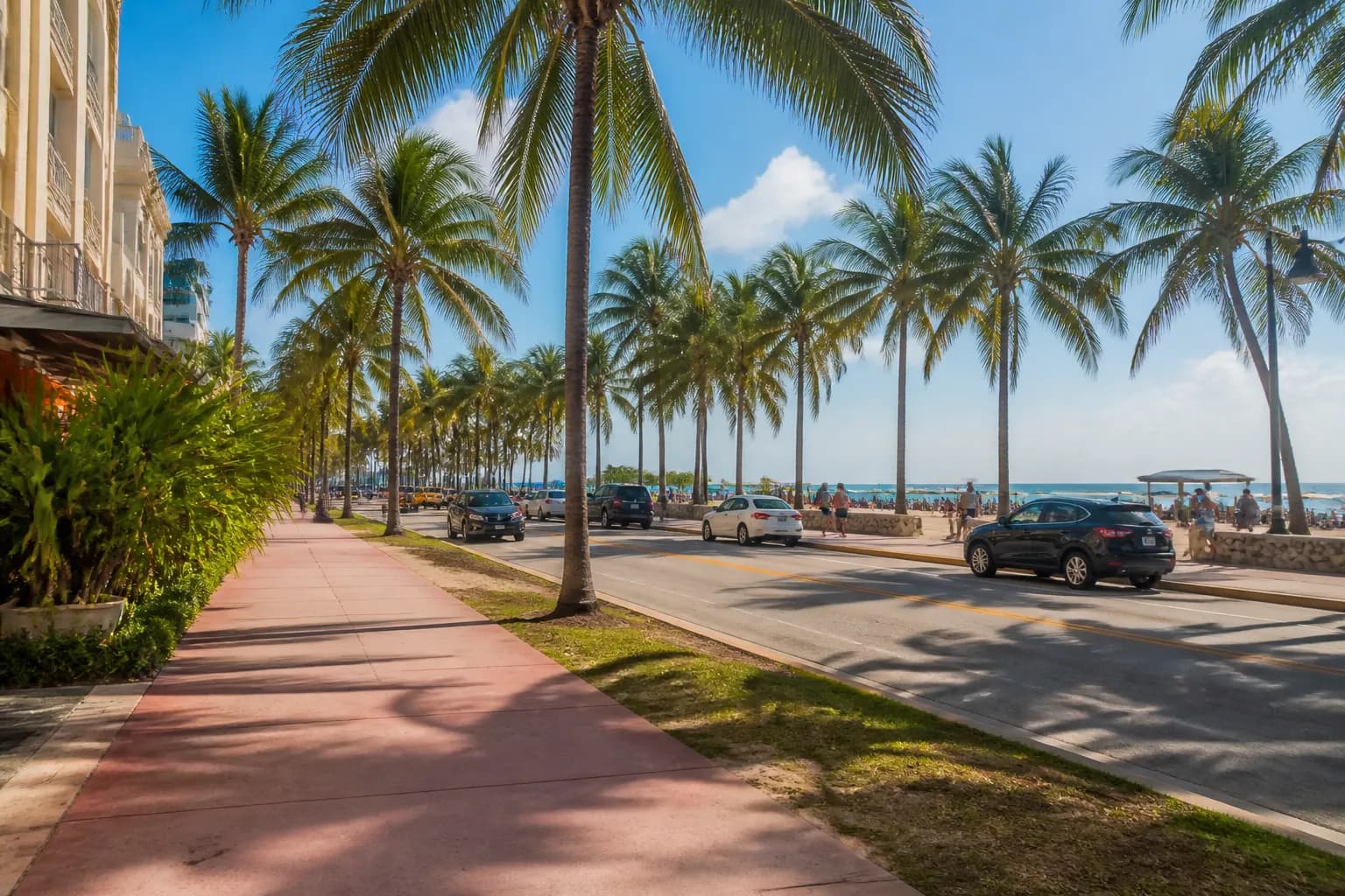 Realistic Miami food and neighborhood scene