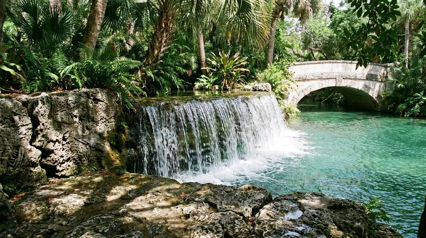 Water spilling over a rough coral rock ledge into a clear turquoise pool, palms and a stone bridge above, sunlight breaking through the leaves onto the surface