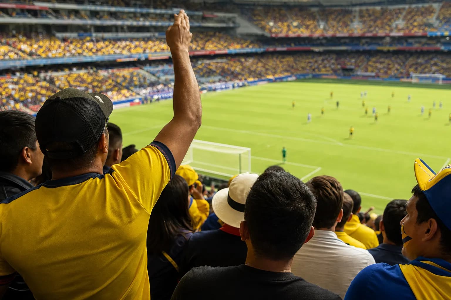 Fans reading Ecuador tactical notes during a World Cup match