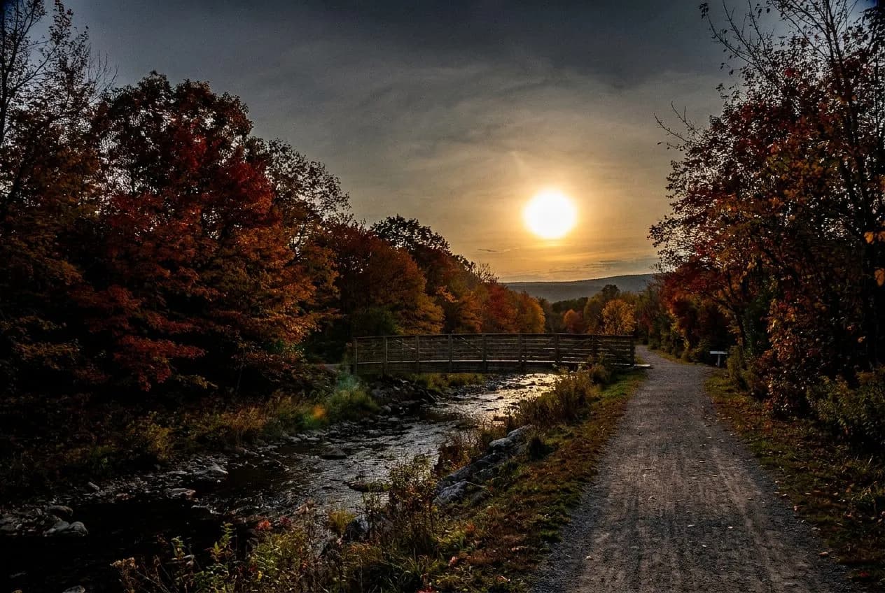 Emerald Necklace Conservancy Loop Jamaica Pond to Back Bay Fens Walk