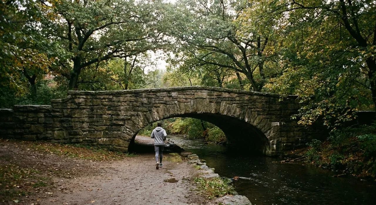 Emerald Necklace Conservancy Loop Jamaica Pond to Back Bay Fens Walk
