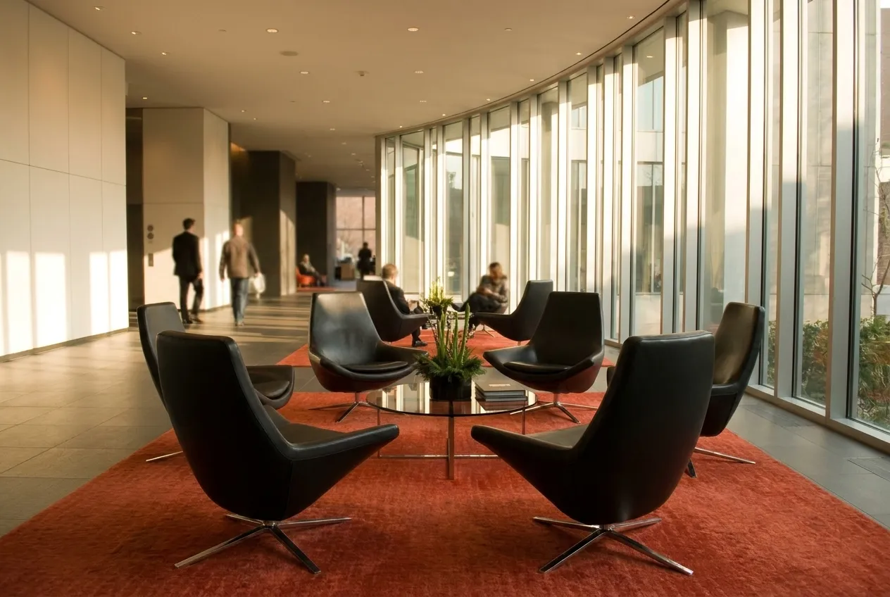 A room set with chairs in a circle and a window with afternoon light