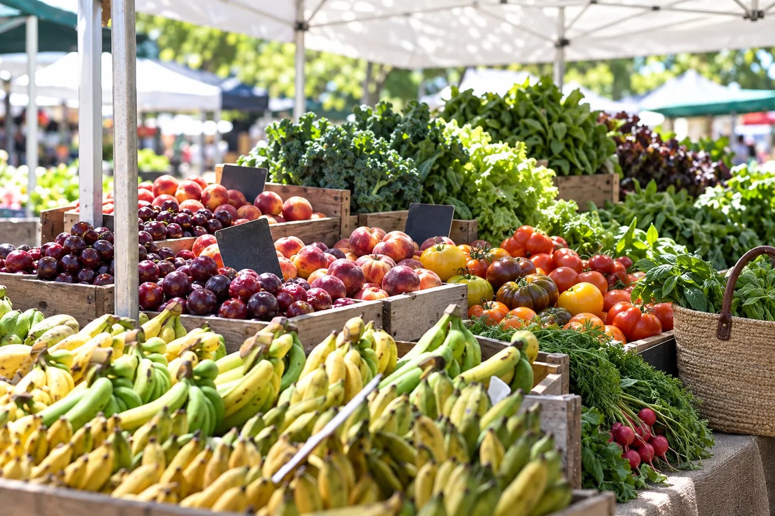 Farmers market produce stall with wooden crates of stone fruit, leafy greens and heirloom tomatoes under a white canopy in crisp morning light