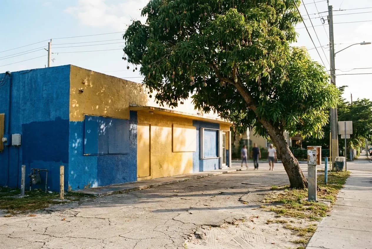A brightly painted low building on a quiet Miami side street, saturated blues and yellows on stucco with a mango tree leaning over the pavement