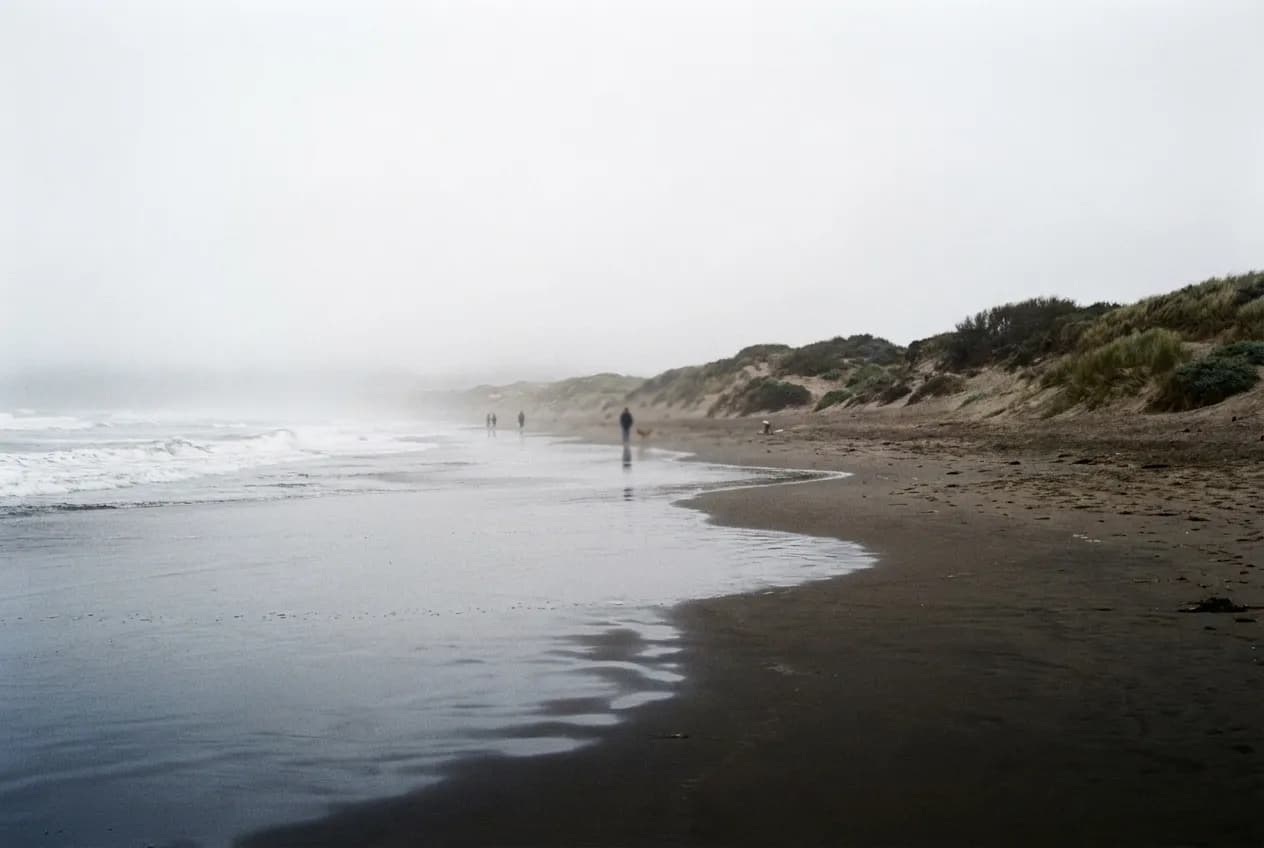 A wide flat beach under thick low fog, wet sand reflecting a pale sky and low dunes with scrub grass along the top edge