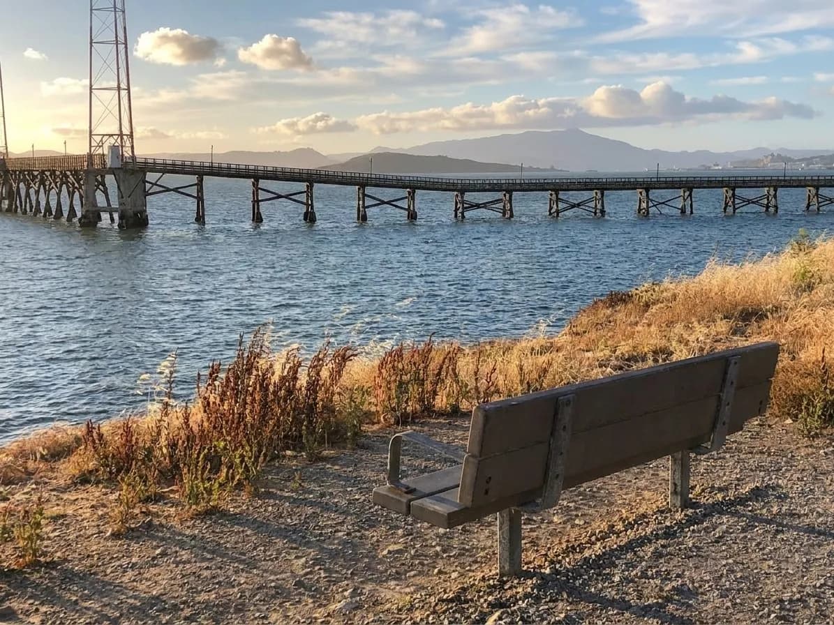 Wide view of Point Isabel shoreline with bay water, distant bridge, and open grassland under afternoon sun