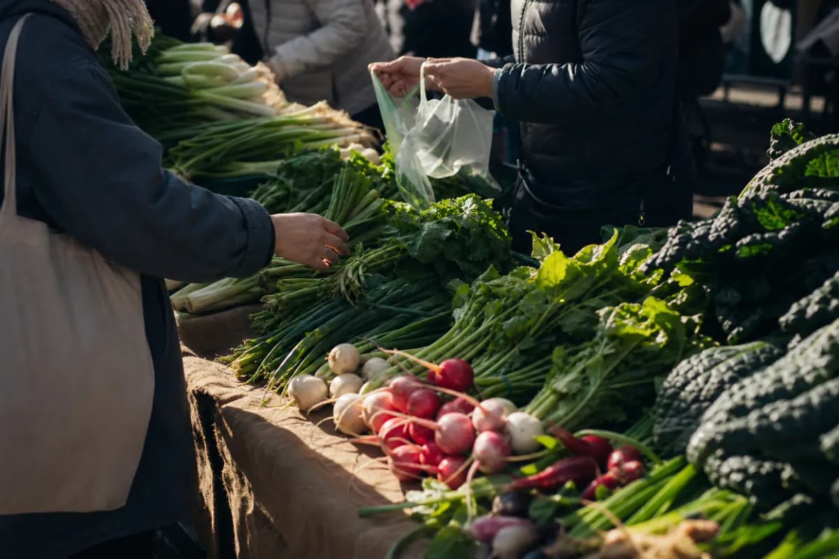 Editorial detail for Fort Washington Greenmarket: A No-Car Picnic Run Before the Park Gets Hot