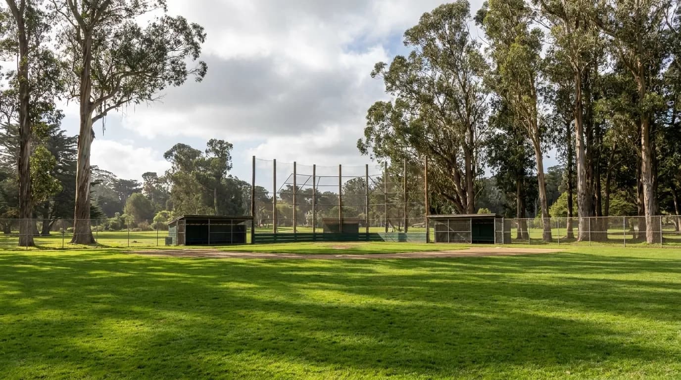 Wide-angle view of Big Rec's grass baseball diamond in Golden Gate Park, framed by tall eucalyptus trees and an open outfield