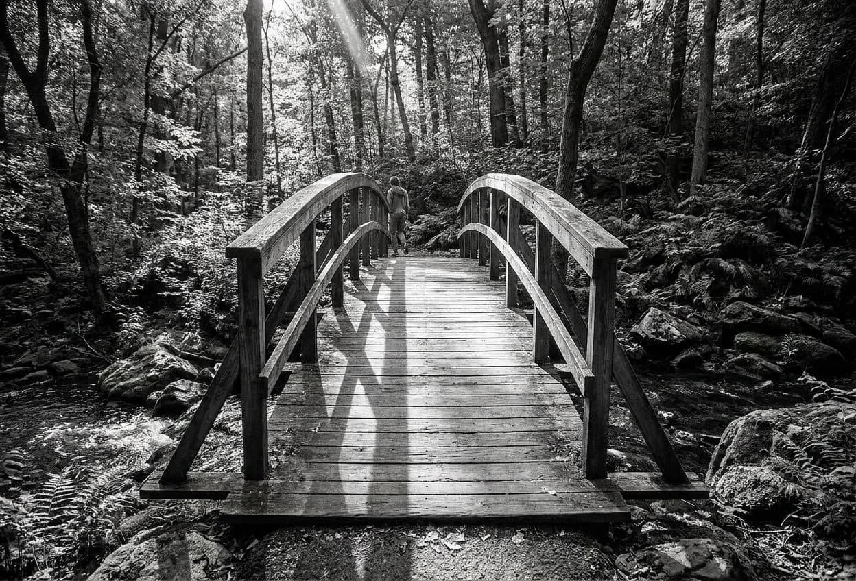 Free Prospect Park Long Meadow Picnics and Olmsted Trails