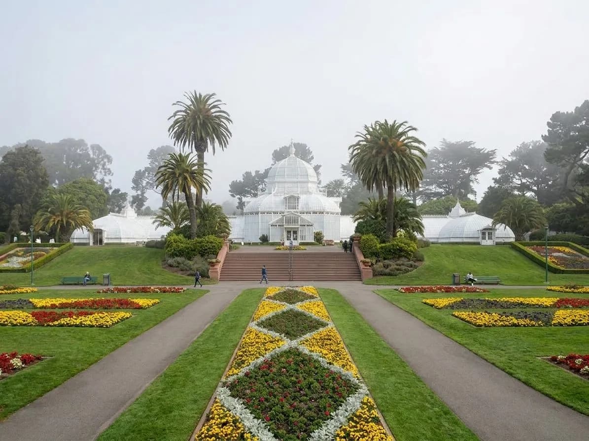 Wide view of Golden Gate Park with open lawns and trees in San Francisco