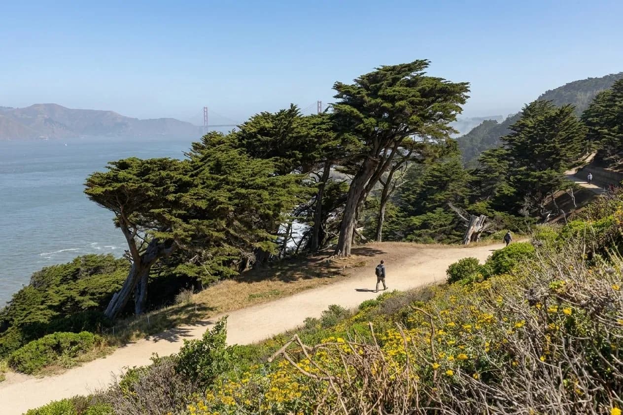 Coastal trail along Lands End with cliffs and ocean in San Francisco