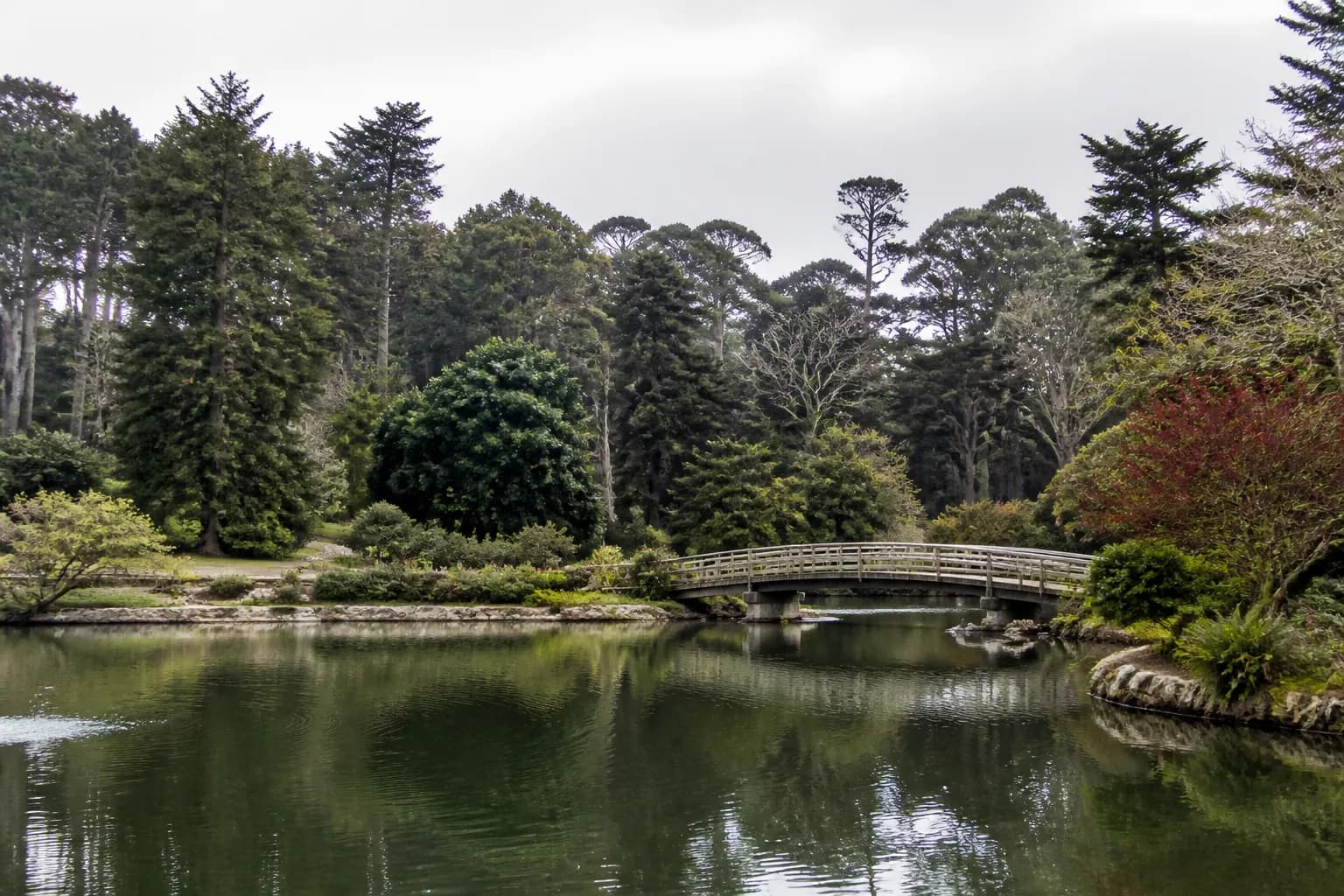 Wide view of a park lake with a hill and bridge in Golden Gate Park