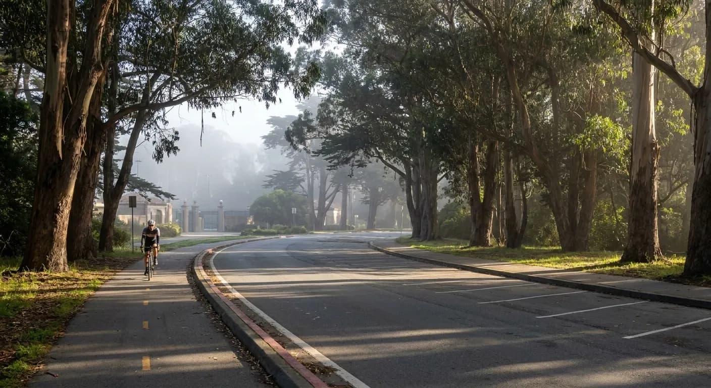 Nancy Pelosi Drive in Golden Gate Park showing the tree-canopied road and bike lane leading to the tennis center