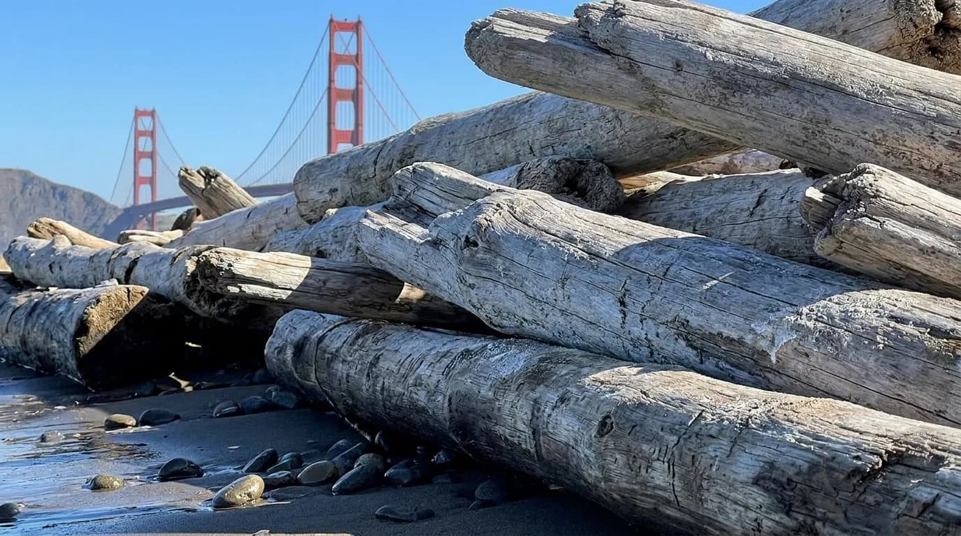 Weathered driftwood logs on Baker Beach with Golden Gate Bridge towers visible in the distance