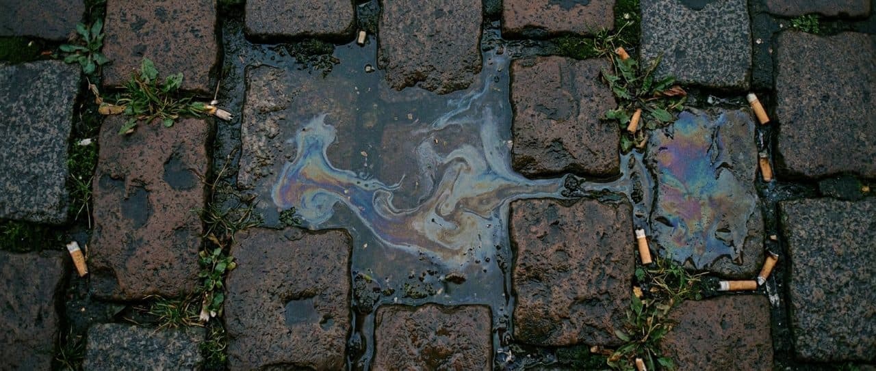 Walking the Gowanus Canal Towpath End to End Takes Forty Minutes and Feels Like Urban Archaeology - scene
