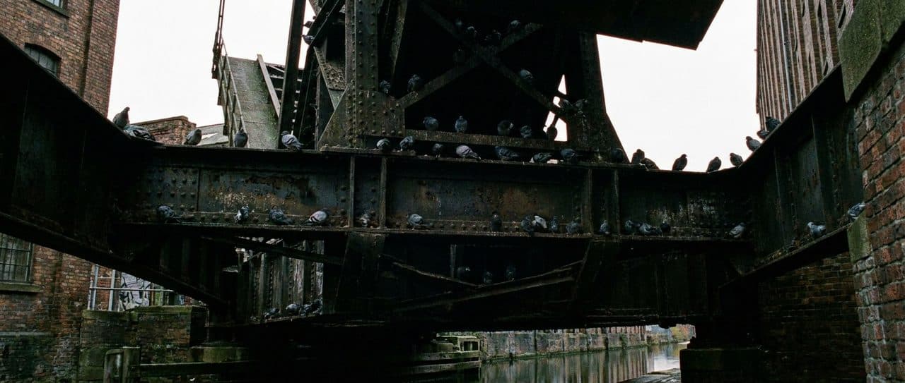 Walking the Gowanus Canal Towpath End to End Takes Forty Minutes and Feels Like Urban Archaeology - scene