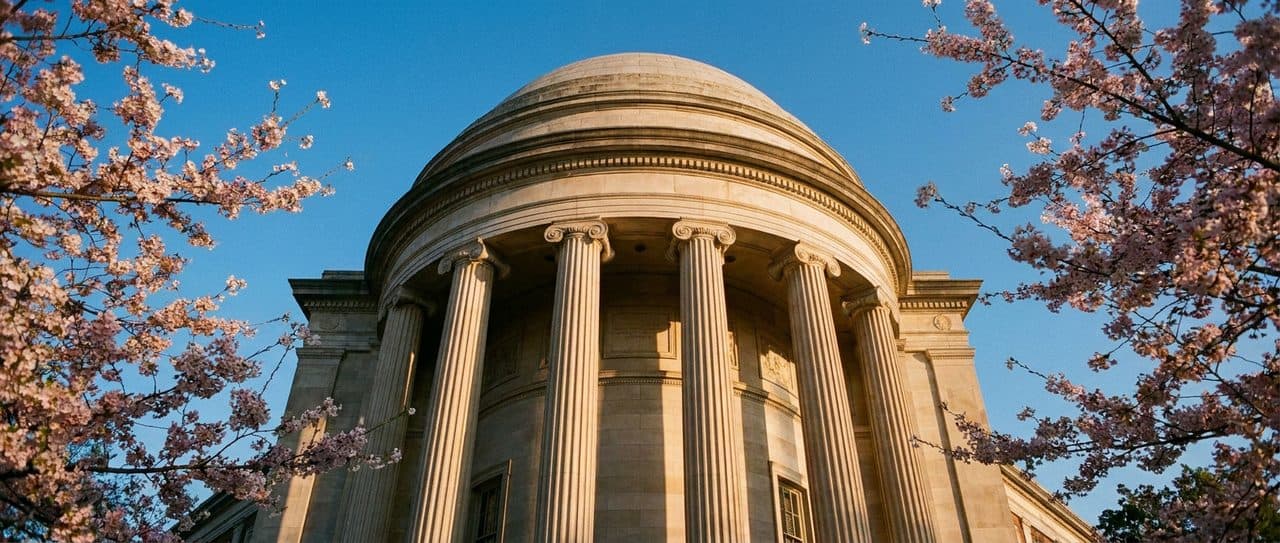 Columbia's Campus Is Open for Free Graduation Photos on the Library Steps - scene