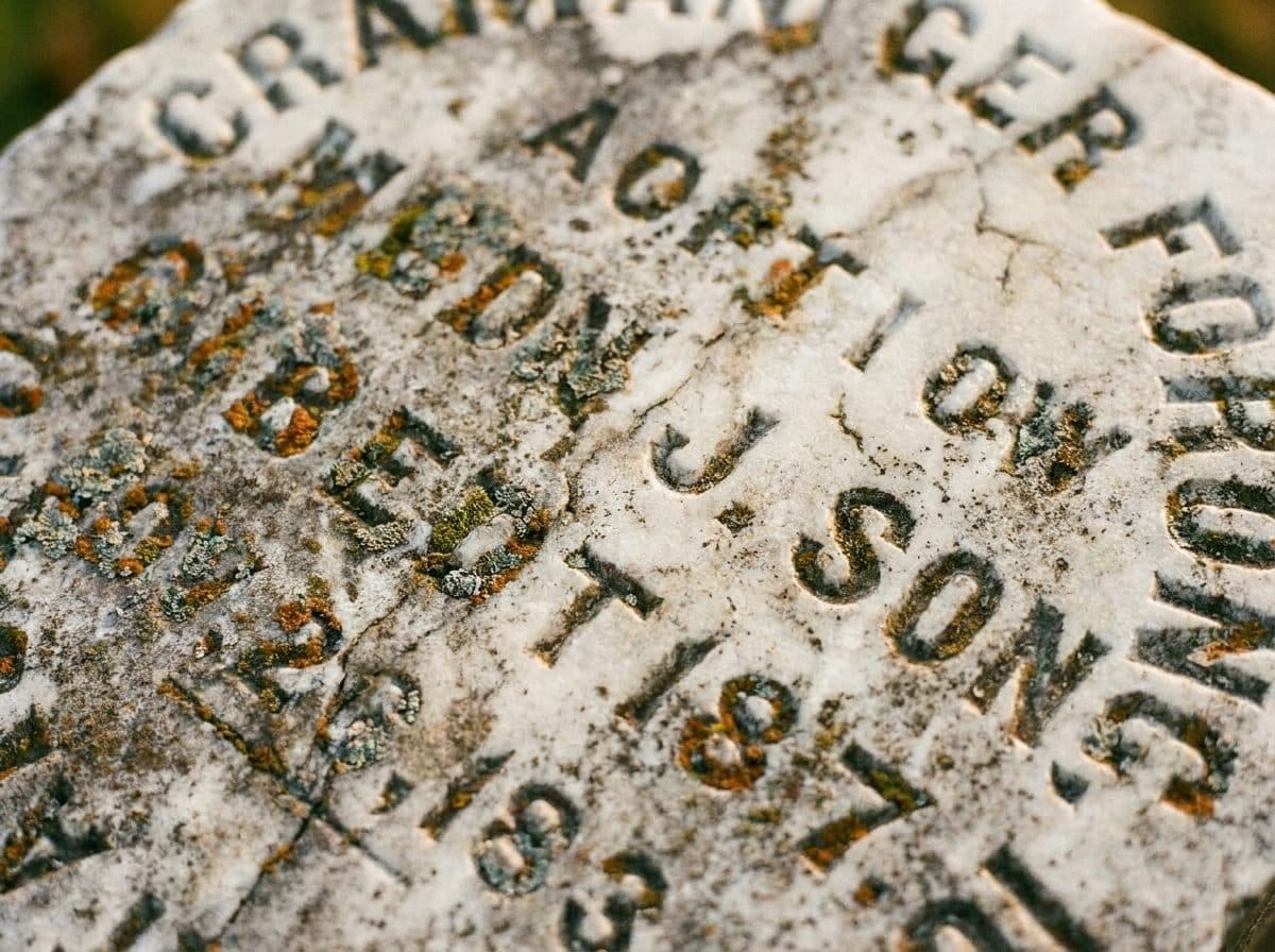 Green-Wood Cemetery's Free Tours Explore Gothic Monuments and Harbor Views - scene