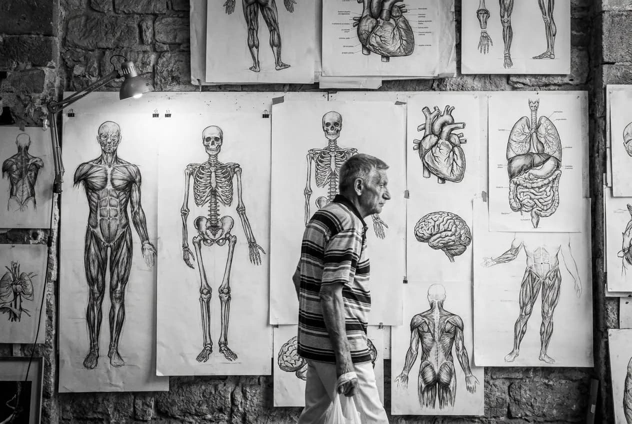 Hand-Painted Anatomical Illustration Studio in Ditmas Park: A Fresh Field Note