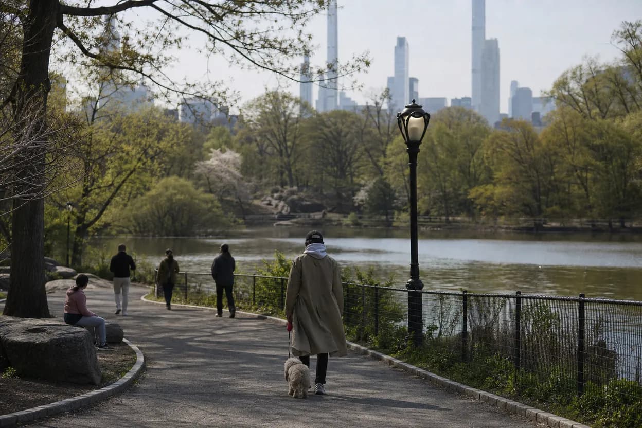 Cover scene for Harlem Meer Center: A Step-Free North Central Park Pause With Kids