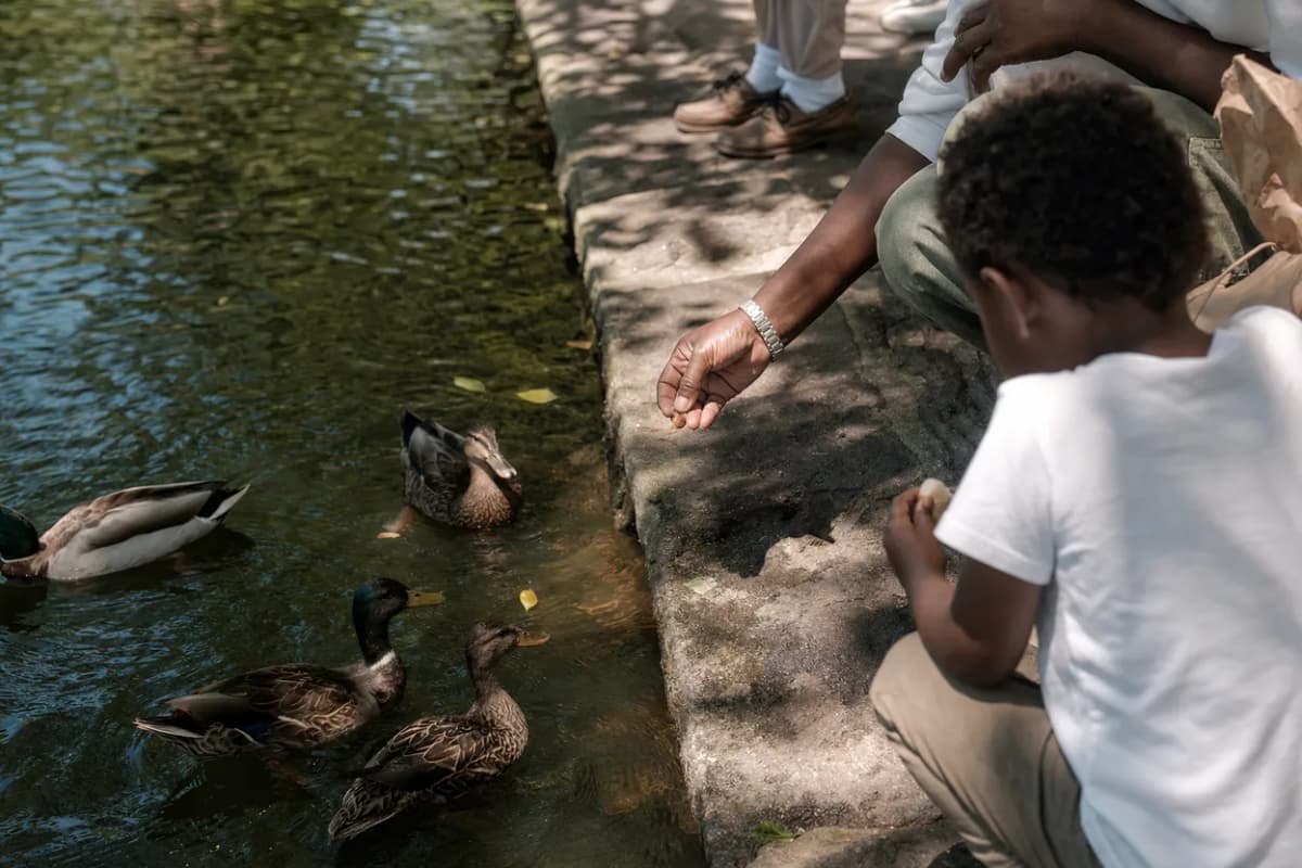 Editorial detail for Harlem Meer Center: A Step-Free North Central Park Pause With Kids