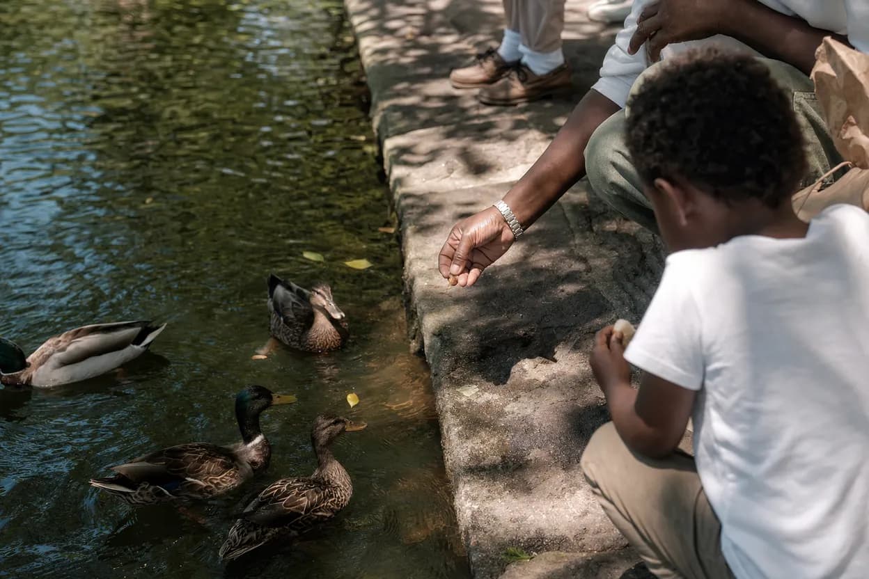 Editorial detail for Harlem Meer Center: A Step-Free North Central Park Pause With Kids