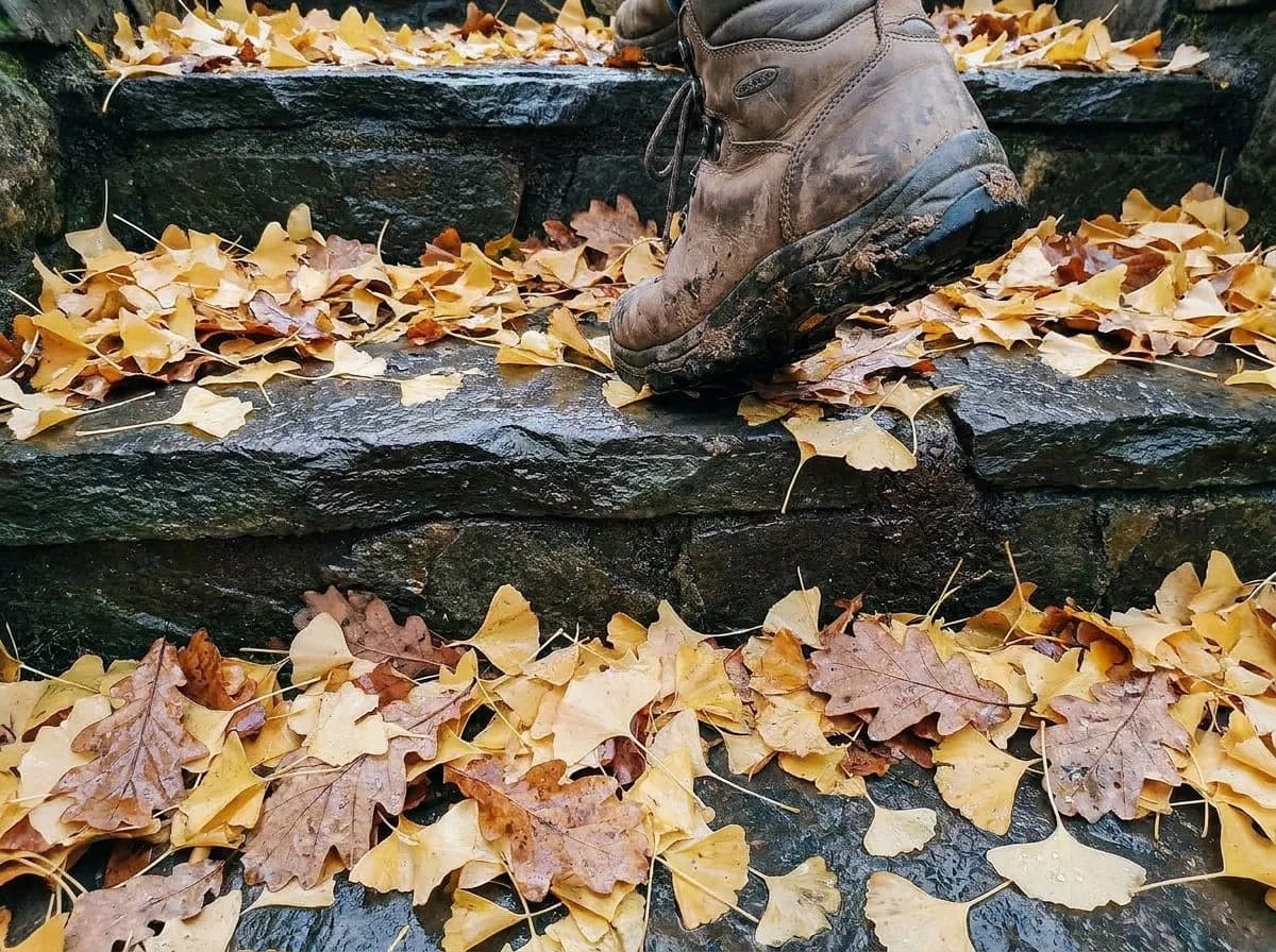 Highbridge Park's Water Tower Trail in Peak Foliage
