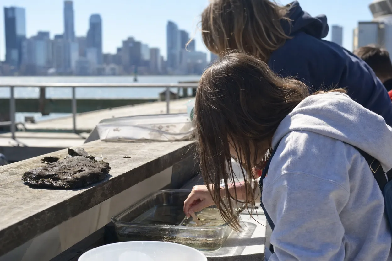 Editorial detail for Hudson River Park Wetlab: A Free Marine Science Detour for Curious Families