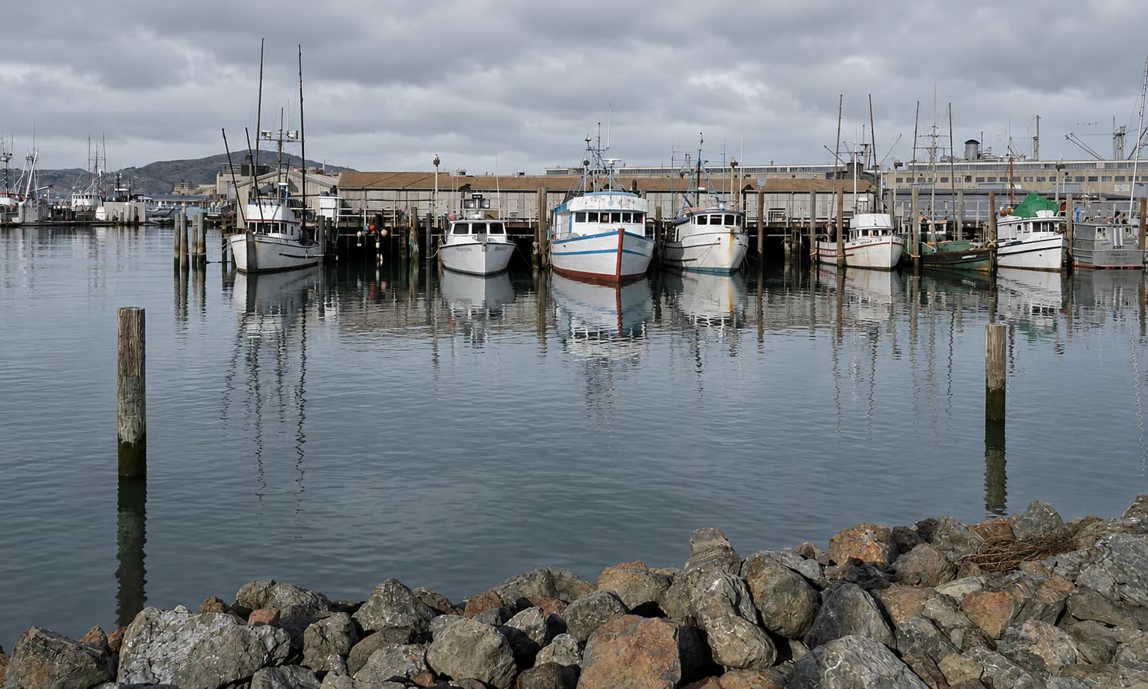 Working harbour basin with fishing boats moored in rows, masts and rigging, and a low quayside walkway with hills rising behind