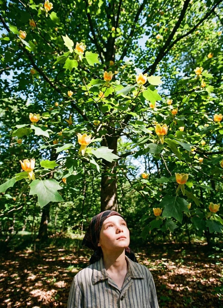 Inwood Hill Park Shorakapkok Preserve and Tulip Tree Grove: A Fresh Field Note