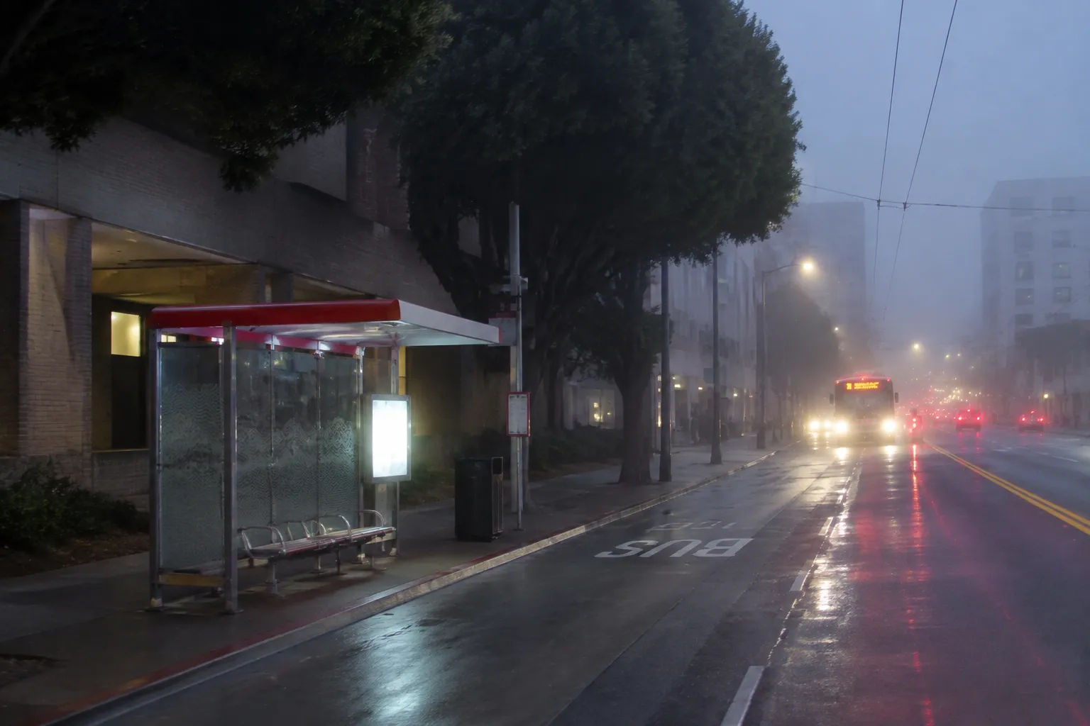 Foggy Muni bus shelter on Geary Boulevard in San Francisco at dusk
