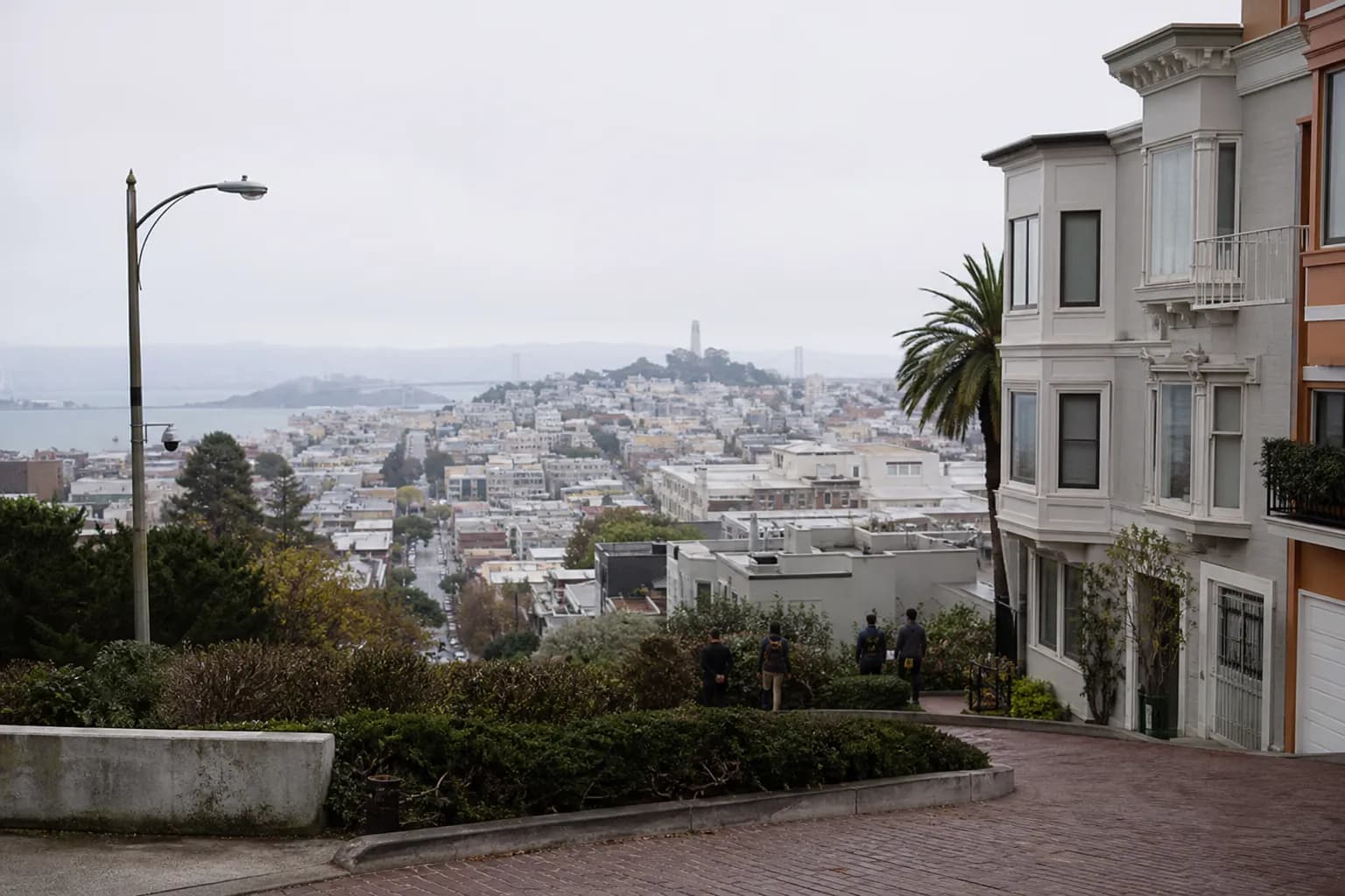 Distinct real-scene reference image for SF: dodgers schedule: SF watch-night plan with real backups