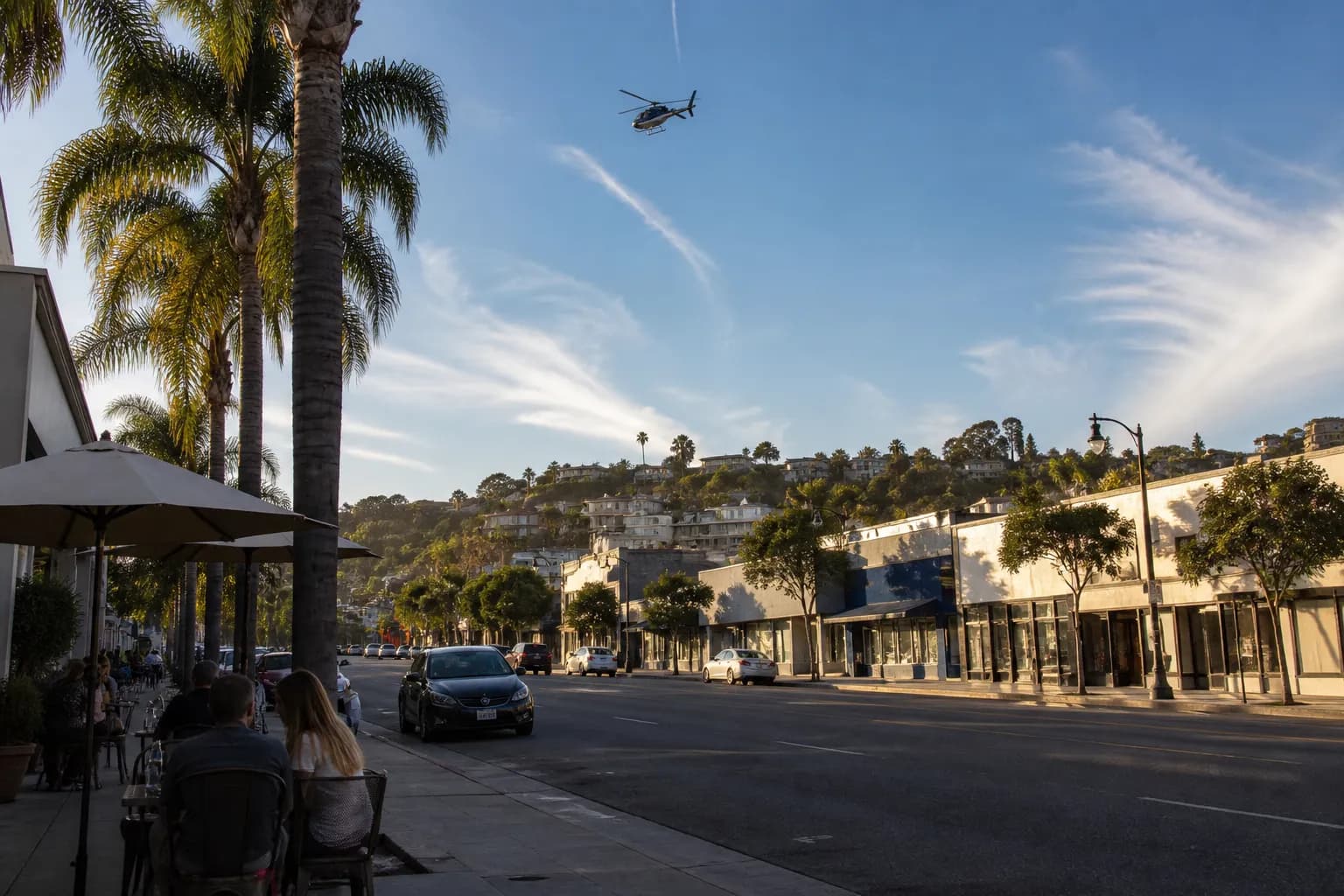Distinct real-scene reference image for LA: helicopter: LA neighborhood route with real backups