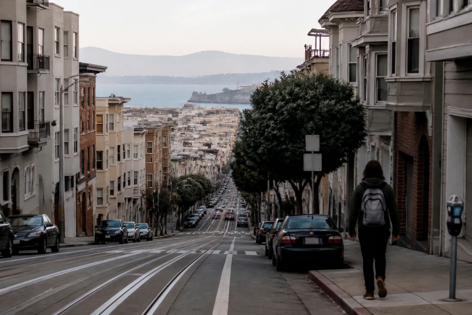 Distinct real-scene reference image for SF local plan around jayden daniels lsu