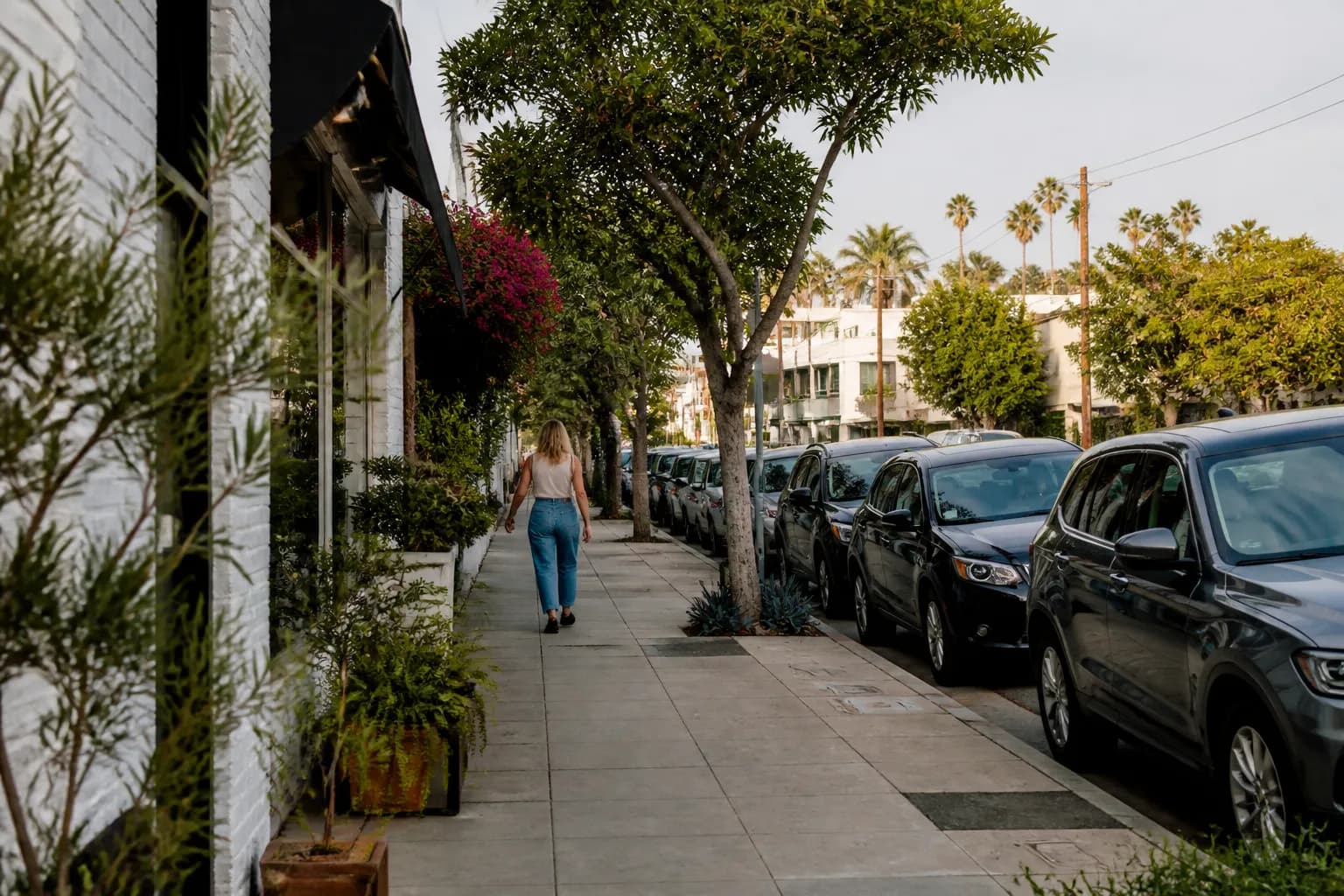 Distinct real-scene reference image for LA local plan around freddie freeman