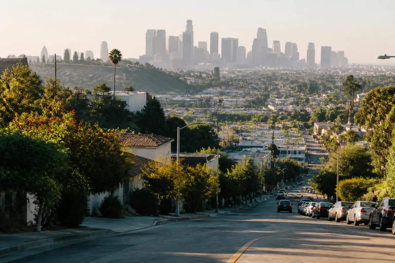Distinct real-scene reference image for LA local plan around nfa