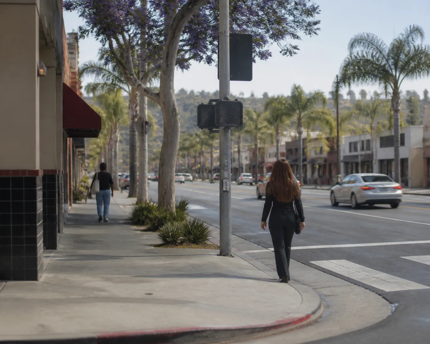 Distinct real-scene reference image for LA local plan around tempo vs wings