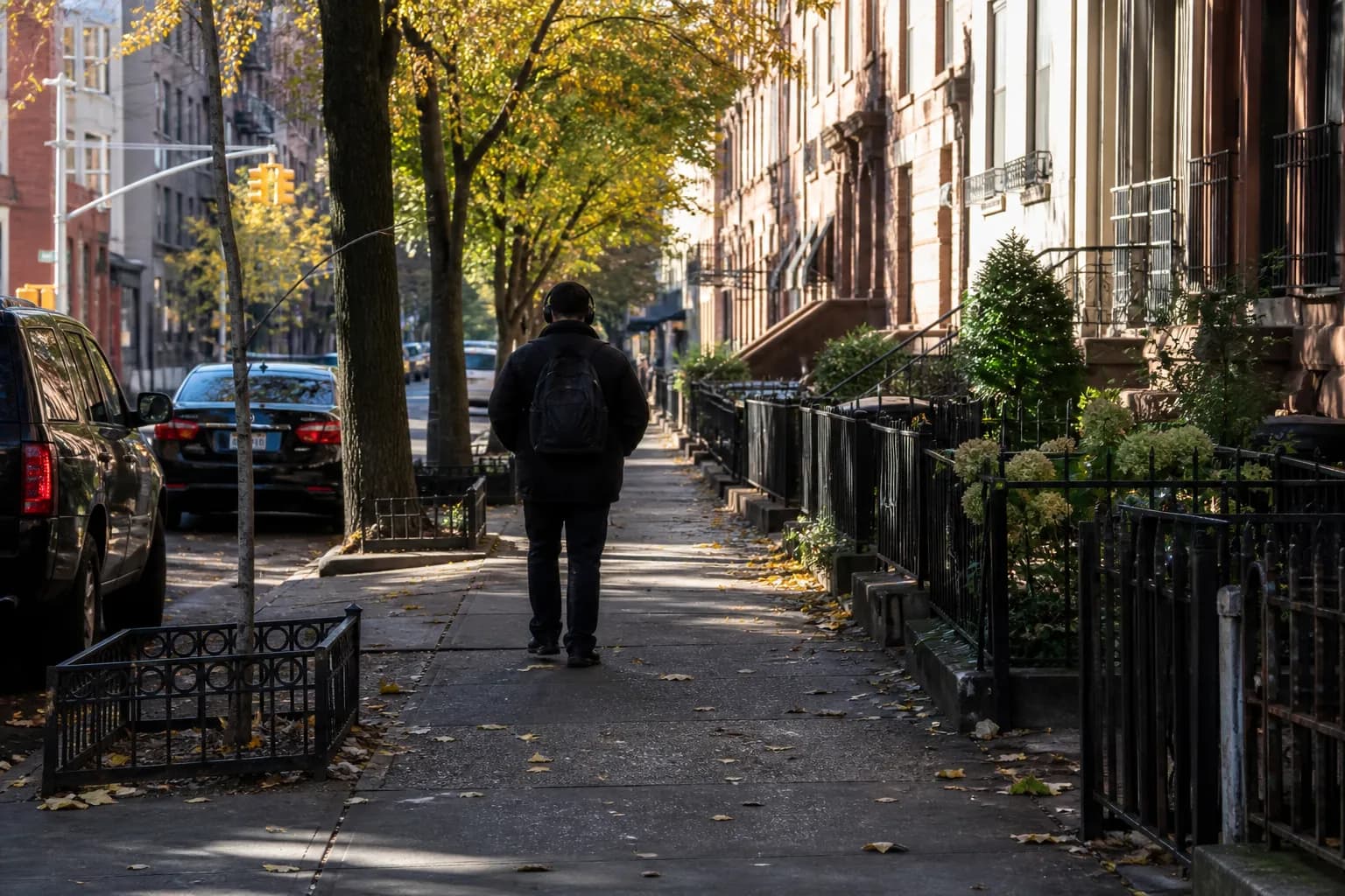 black hole: NYC local plan that stays flexible — local scene detail