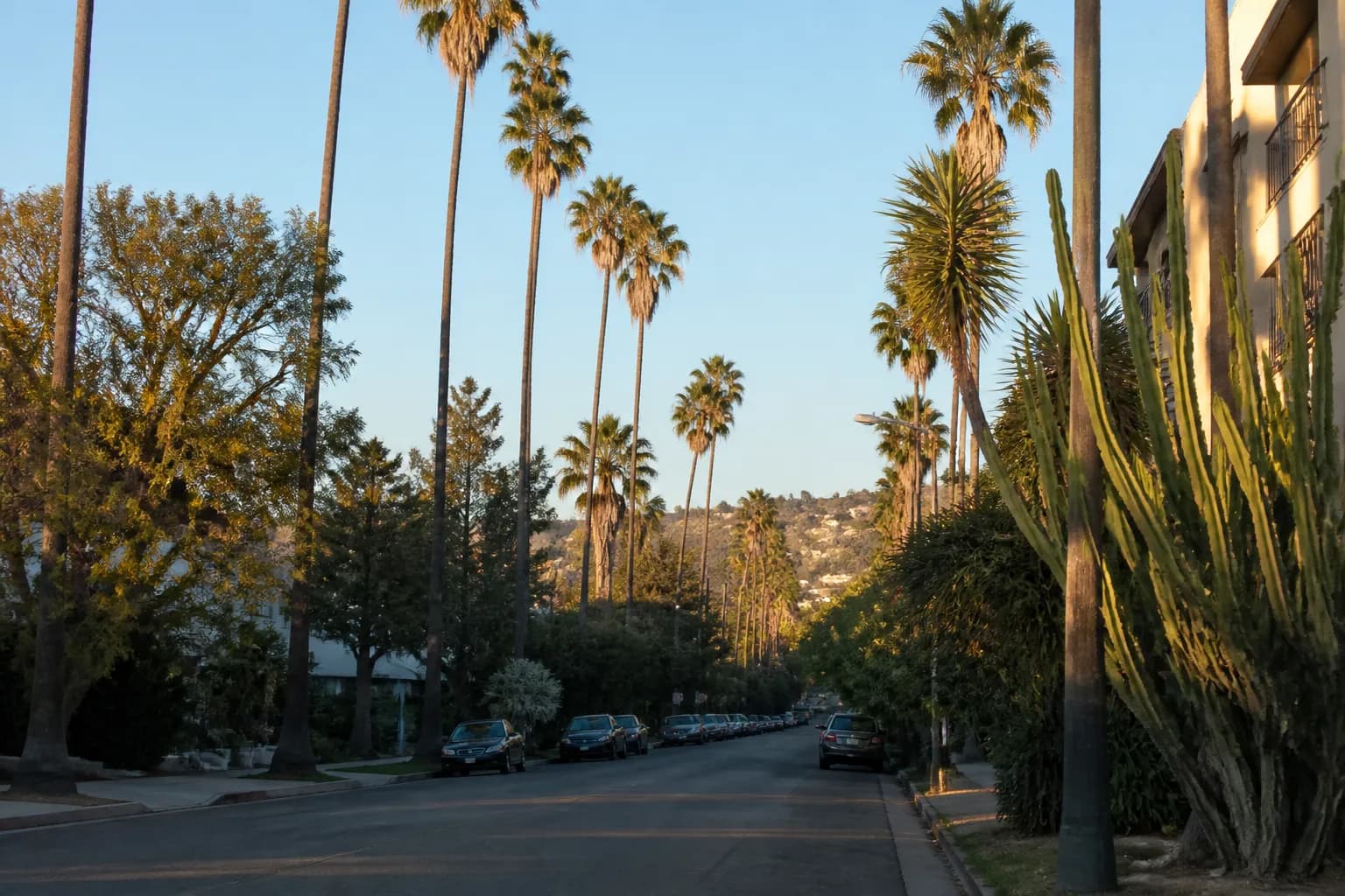 Distinct real-scene reference image for LA local plan around angels
